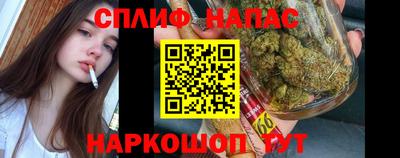 каннабис Будённовск