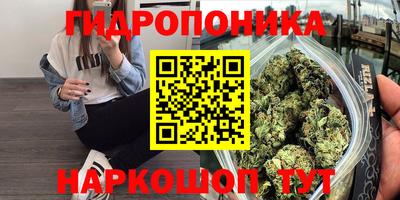 каннабис Будённовск