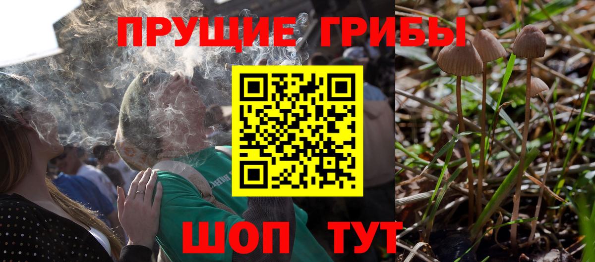 Пермь  Псилоцибиновые грибы мицелий  Вход с VPN 