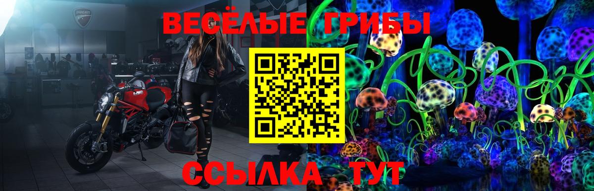 Псилоцибиновые грибы Magic Shrooms Пермь